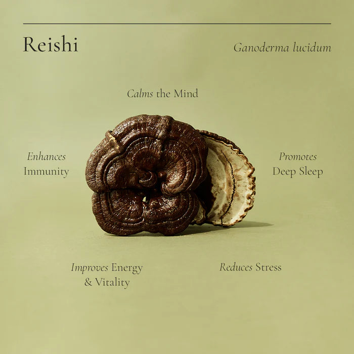 SuperFeast REISHI 250g